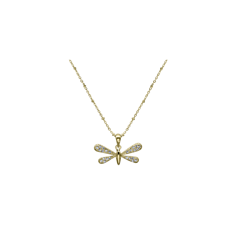 Pretty Dragonfly