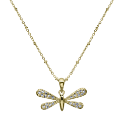 Pretty Dragonfly
